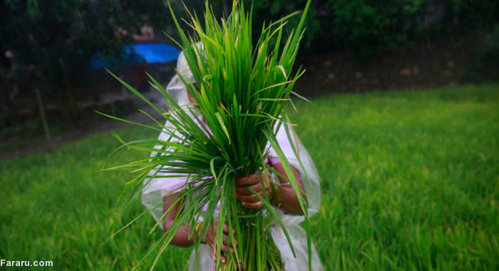 تصویر تصویر