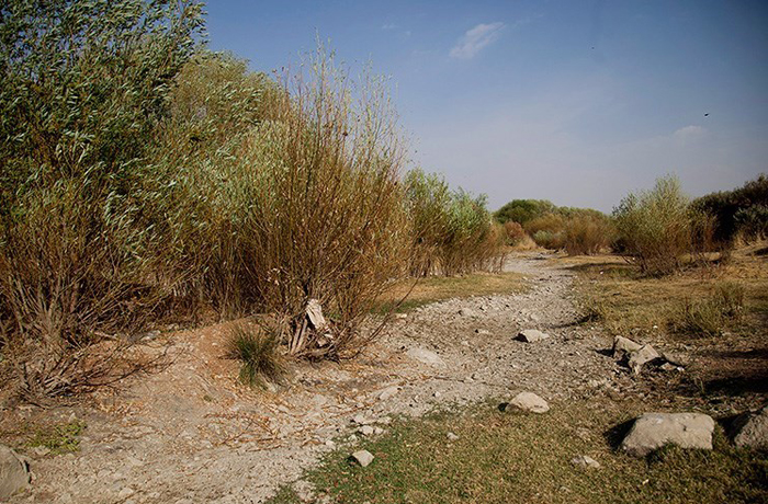 (تصاویر) رودخانه (تصاویر) رودخانه