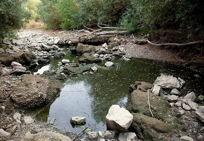 (تصاویر) رودخانه (تصاویر) رودخانه