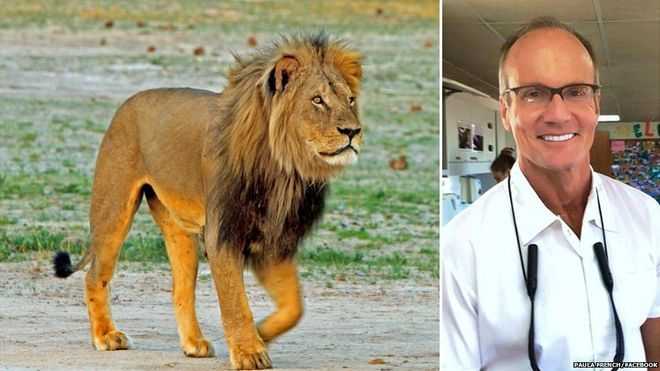 عذرخواهی پزشک شکارچی به خاطر شکار شیر محبوب عذرخواهی پزشک شکارچی به خاطر شکار شیر محبوب