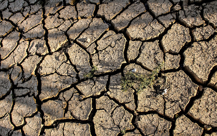 (تصاویر) بی آبی در روستای «فتح الله» (تصاویر) بی آبی در روستای «فتح الله»