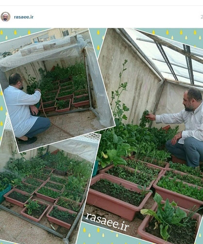 (تصویر) تفریح رسایی (تصویر) تفریح رسایی