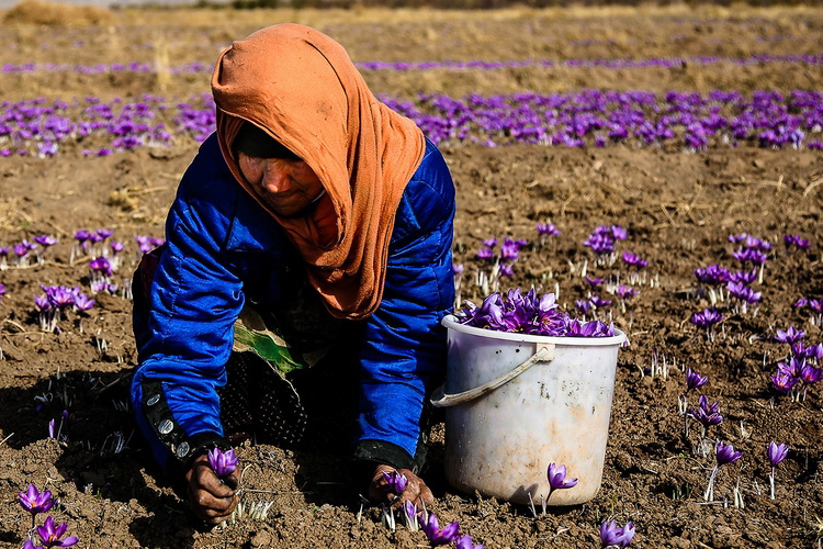 تصویر تصویر
