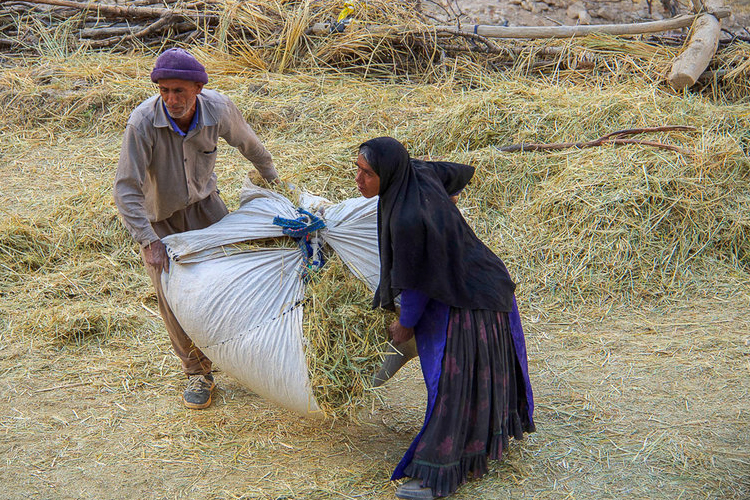 تصویر تصویر