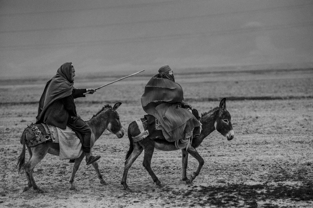 (تصاویر) عکاس ایرانی برنده جایزه بینالمللی (تصاویر) عکاس ایرانی برنده جایزه بینالمللی