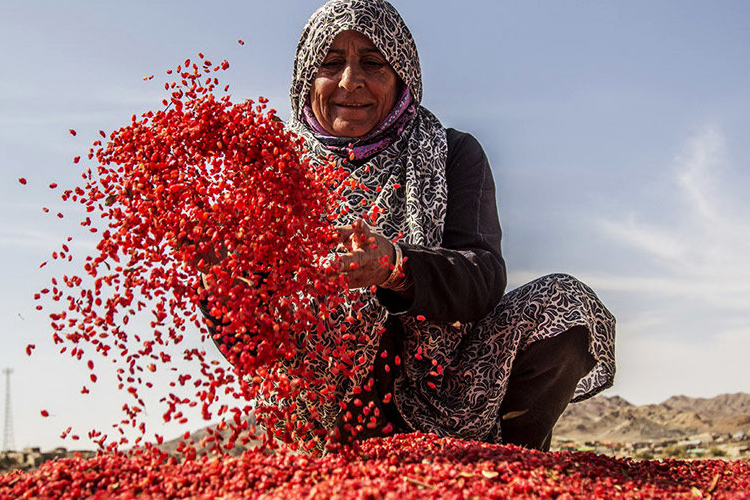 تصویر تصویر
