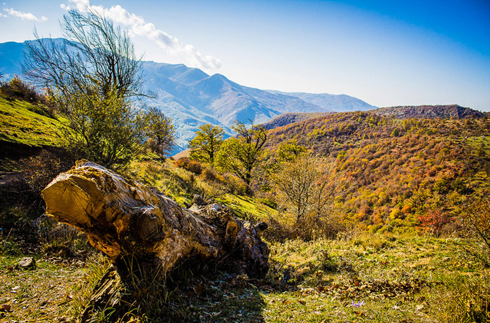(تصاویر) پاییز طلایی جنگل ابر (تصاویر) پاییز طلایی جنگل ابر