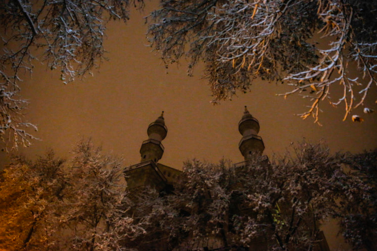 تصویر تصویر
