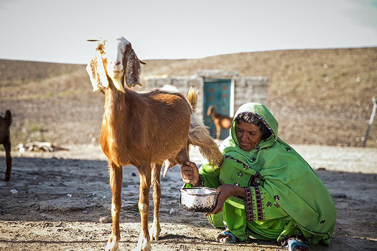 تصویر