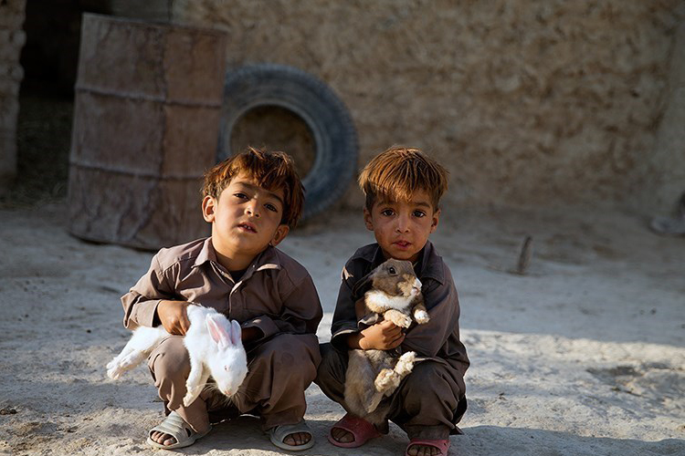 تصویر تصویر