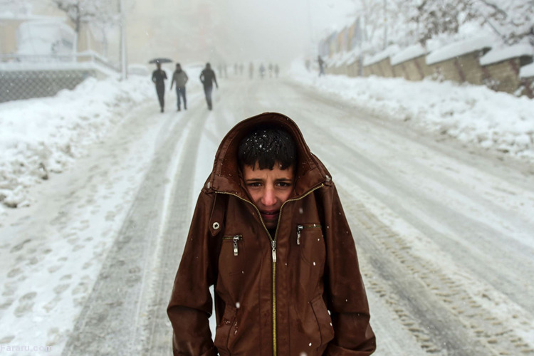 تصویر تصویر
