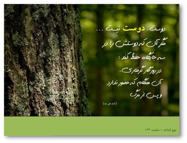 گزيده جملات قصار امام علي (ع) گزيده جملات قصار امام علي (ع)