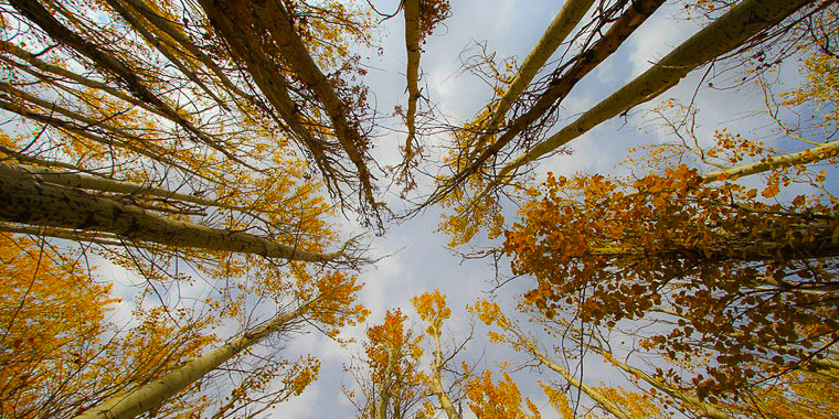 تشییع مرتضی پاشایی، تجمع علاقمندان مرتضی پاشایی، طبیعت زیبایی پاییزی، حریق طولانی در بازار و ... تشییع مرتضی پاشایی، تجمع علاقمندان مرتضی پاشایی، طبیعت زیبایی پاییزی، حریق طولانی در بازار و ...