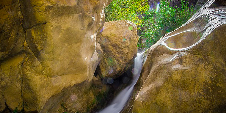 تشییع مرتضی پاشایی، تجمع علاقمندان مرتضی پاشایی، طبیعت زیبایی پاییزی، حریق طولانی در بازار و ... تشییع مرتضی پاشایی، تجمع علاقمندان مرتضی پاشایی، طبیعت زیبایی پاییزی، حریق طولانی در بازار و ...