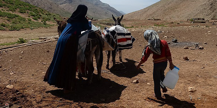 تصویر تصویر