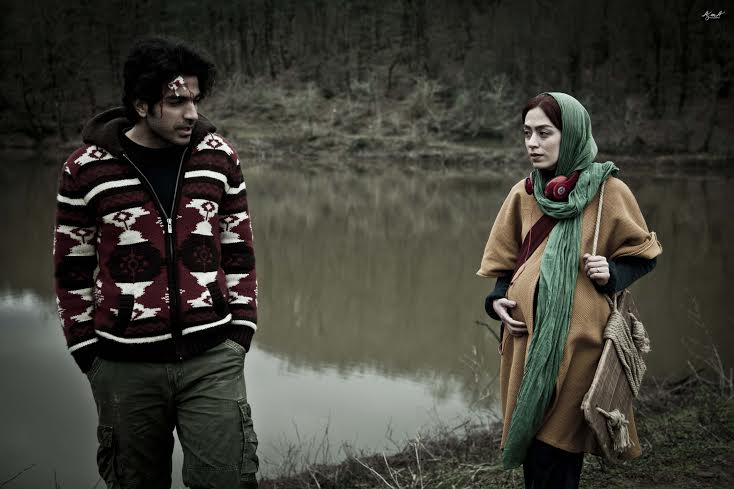 ماهی و گربه...