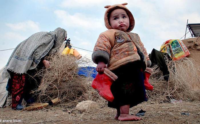 (تصاویر) برترین عکس‌های2014 تلگراف(1)