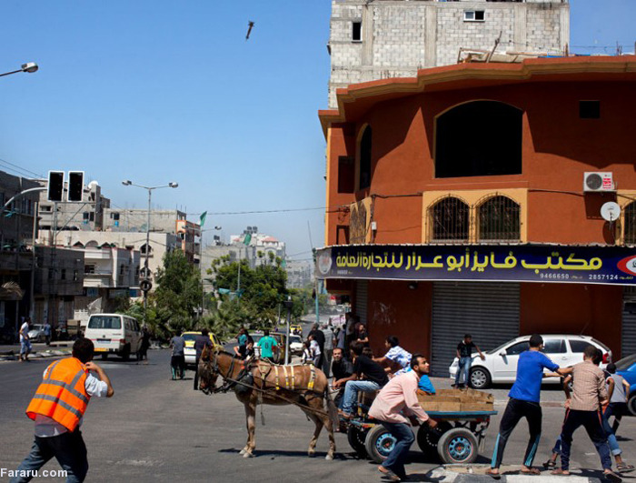 (تصاویر) برترین عکس‌های2014 تلگراف(3)