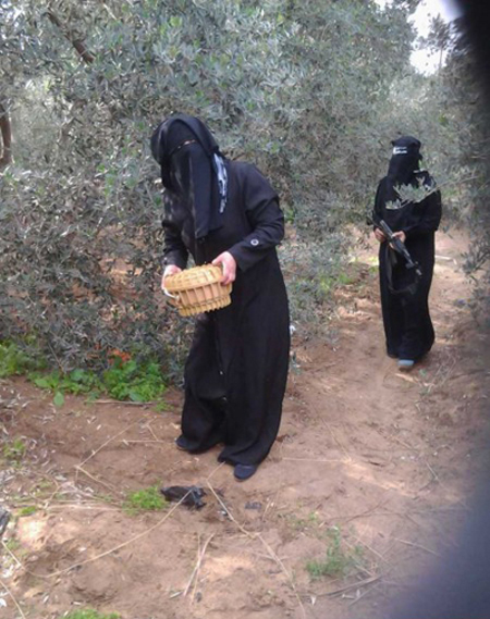 (تصاویر) زنانِ مبارز غزه (تصاویر) زنانِ مبارز غزه
