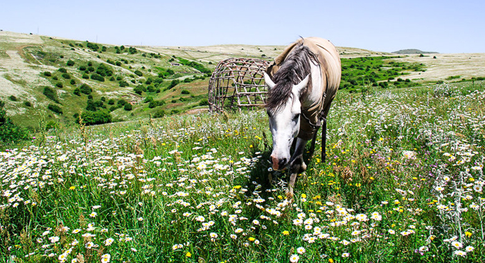 تصویر تصویر