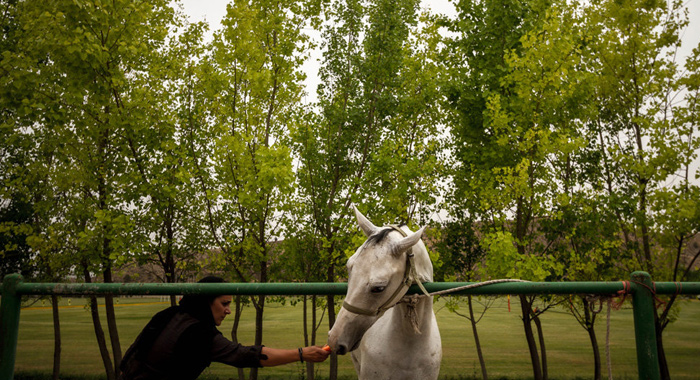 تصویر تصویر