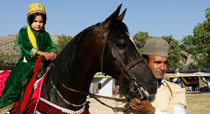 تصویر تصویر