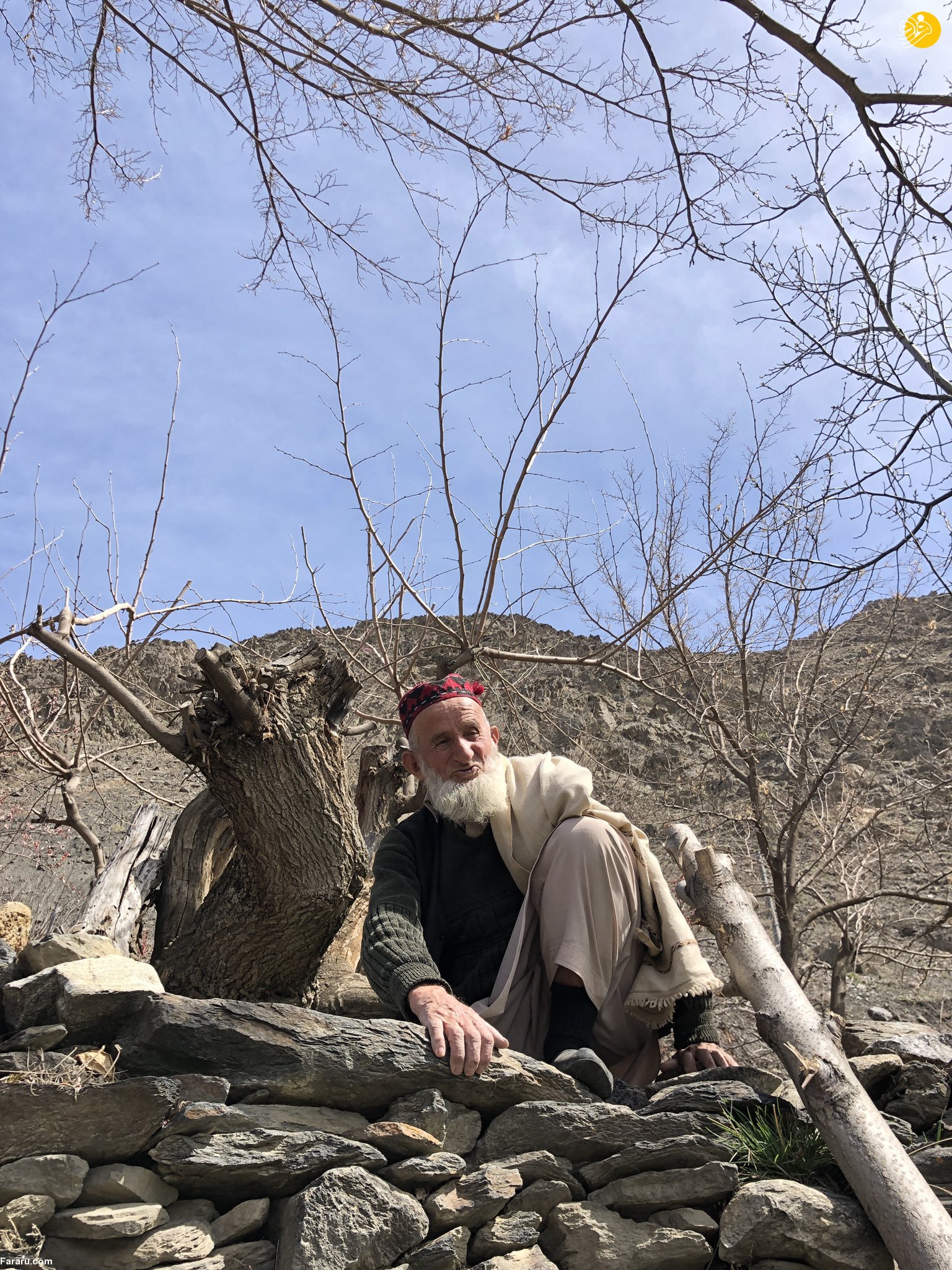 (عکس)