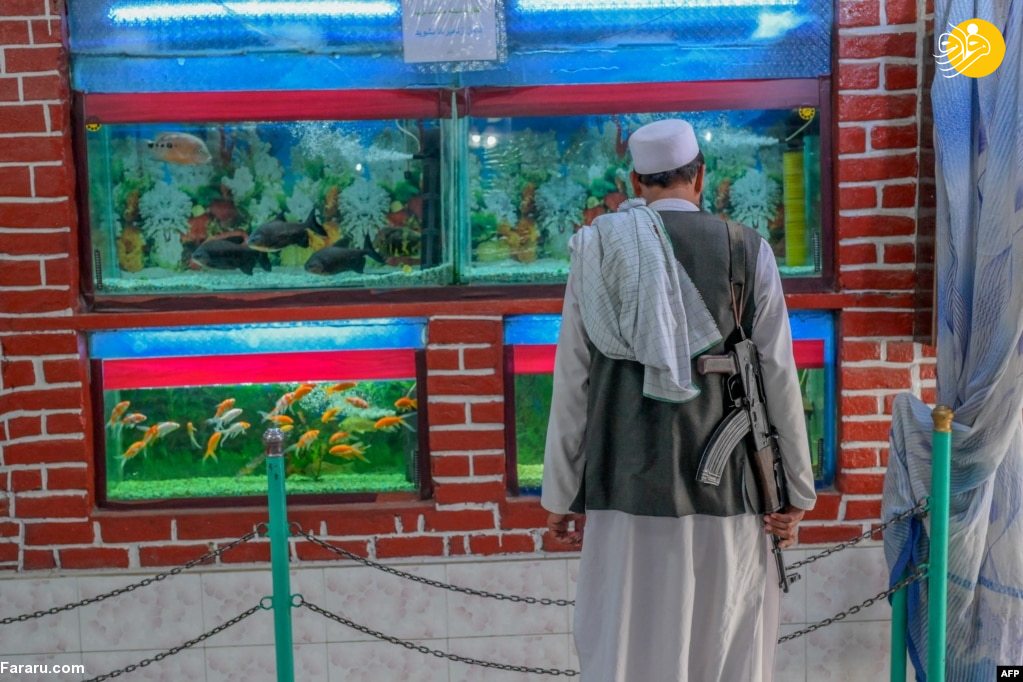 (تصاویر)