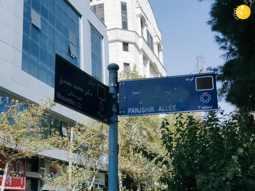(عکس)