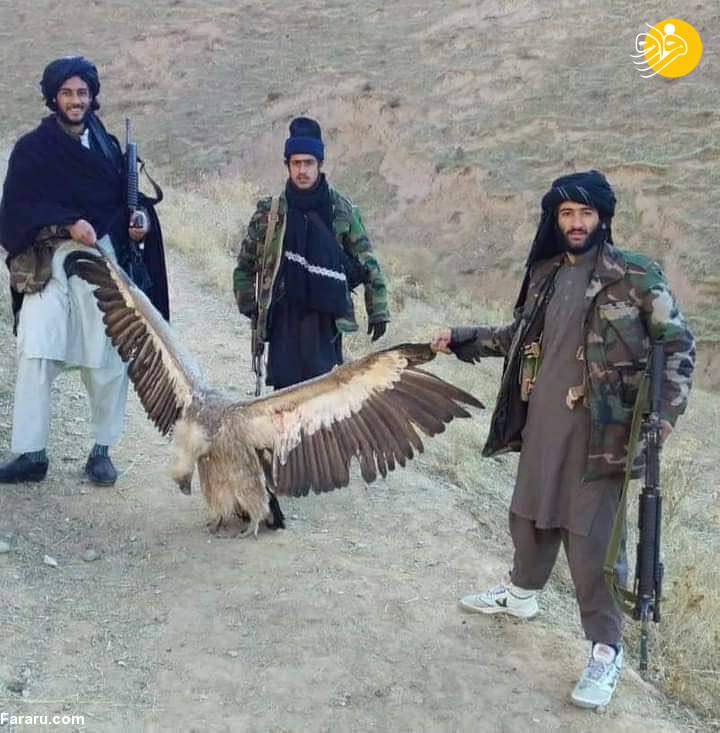 (عکس)