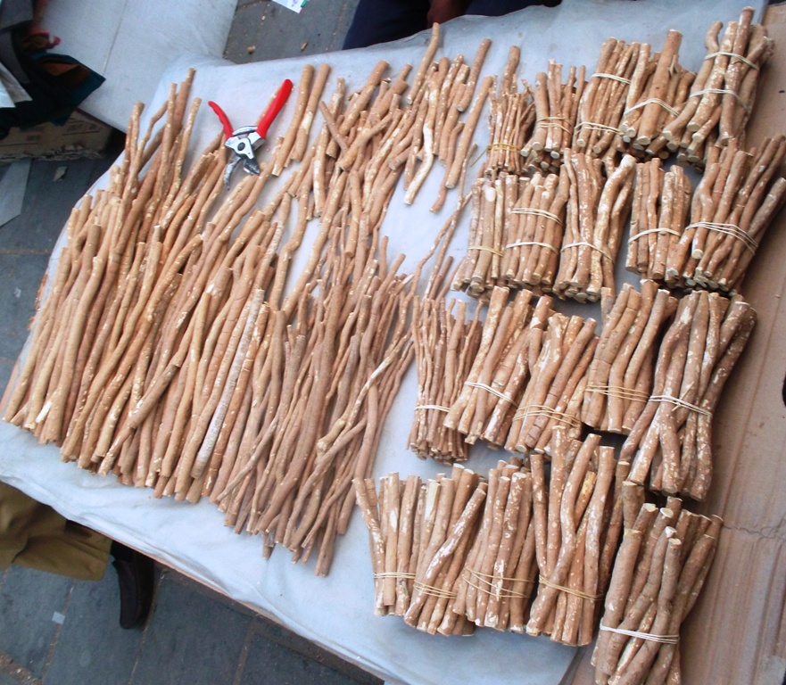 چوب مسواک/ مسواک گیاهی