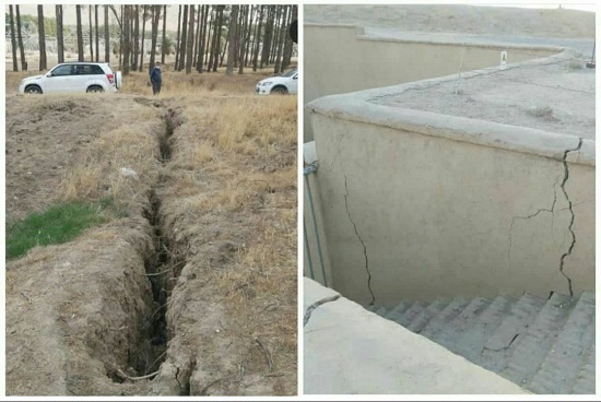 (تصویر) بلایی که کشت برنج بر سر تخت جمشید آورد!