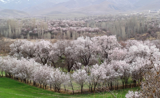 کم هزینهترین شهرهای ایران در نوروز+ (تصاویر) کم هزینهترین شهرهای ایران در نوروز+ (تصاویر)