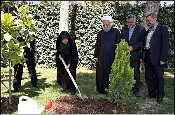 (تصاویر) همکاری روحانی، جهانگیری و ابتکار برای کاشت یک نهال