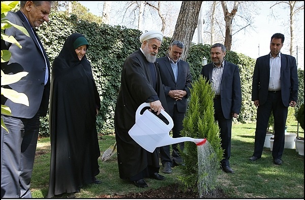 (تصاویر) همکاری روحانی، جهانگیری و ابتکار برای کاشت یک نهال