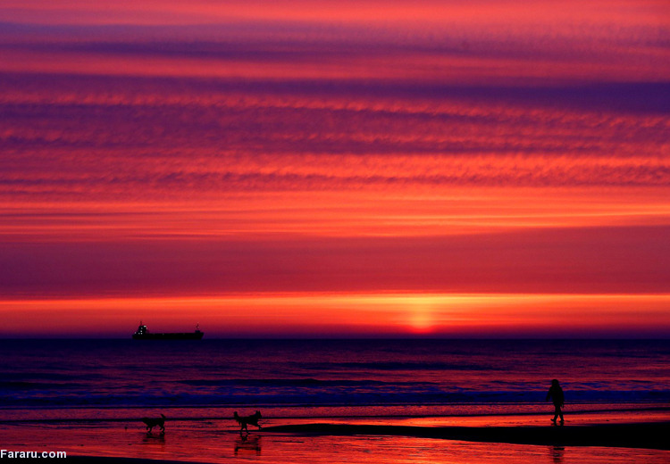 تصویر تصویر
