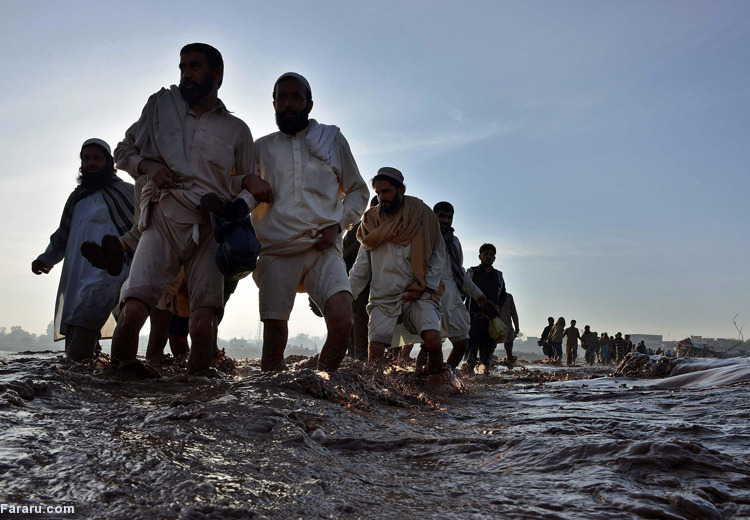 تصویر تصویر