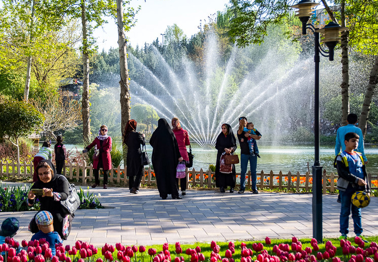 تصویر تصویر
