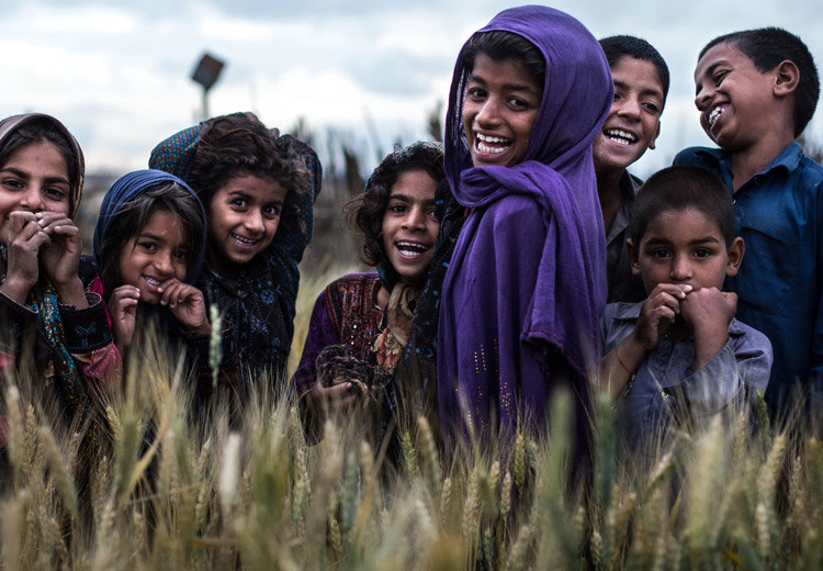 تصویر تصویر