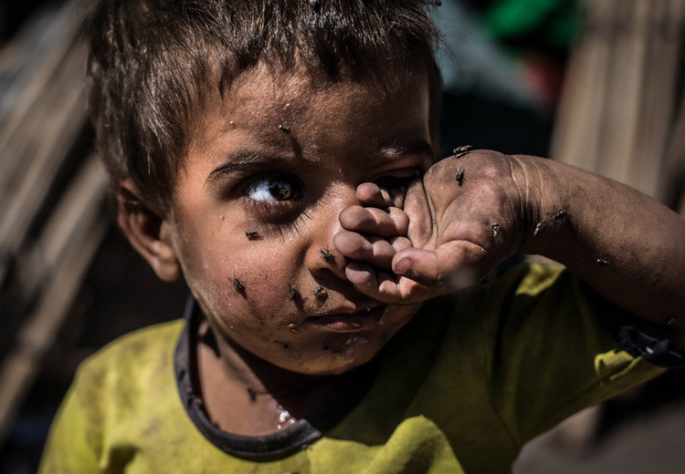 تصویر تصویر