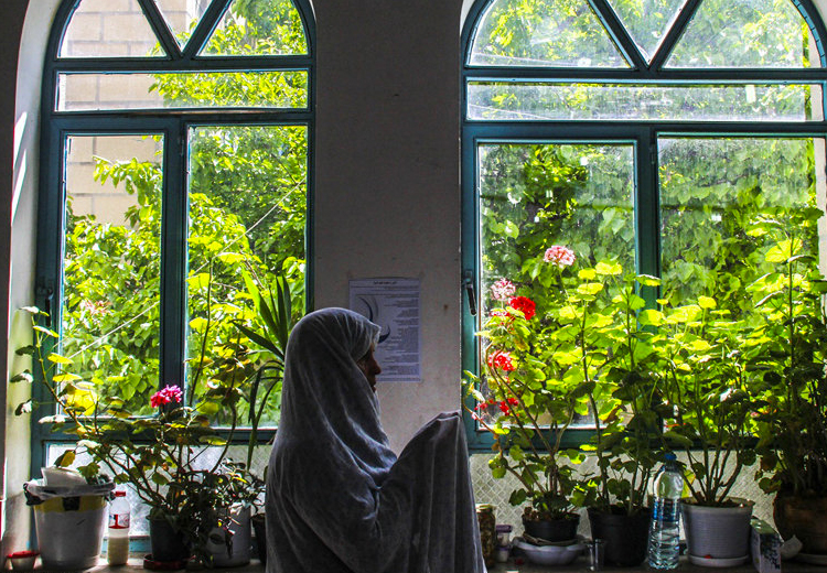 تصویر تصویر