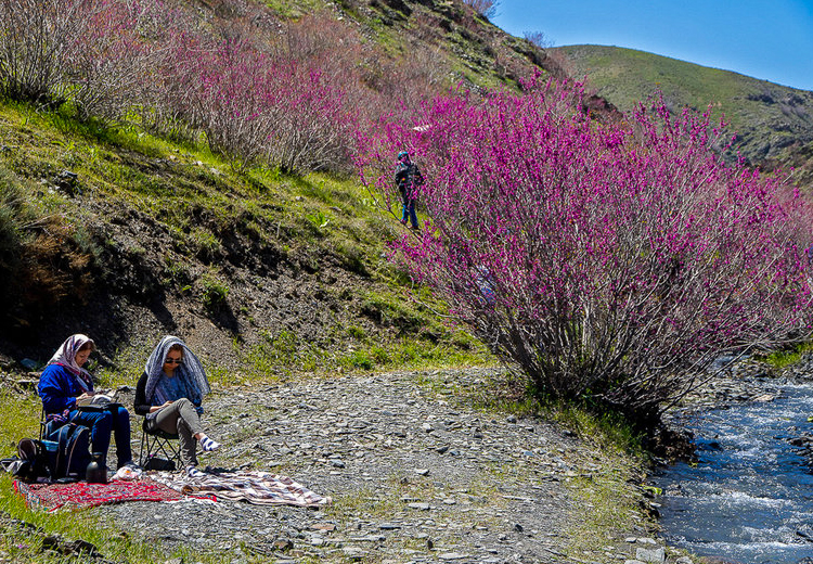 تصویر تصویر