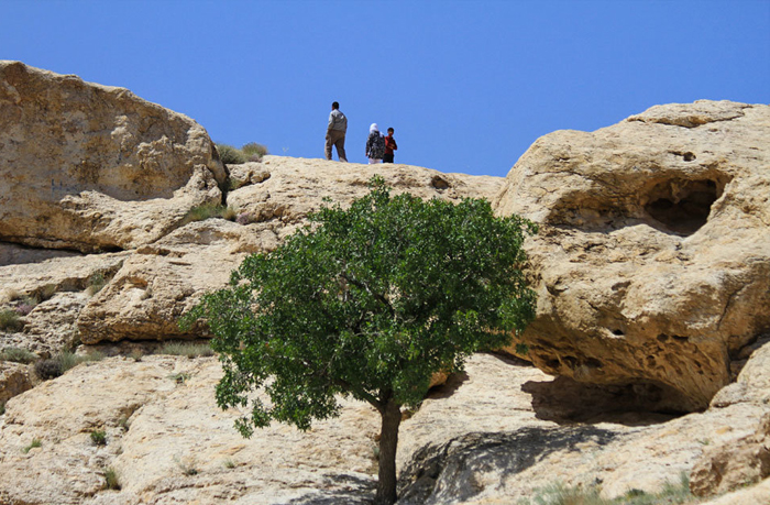 (تصاویر) زنجیره انسانی برای نجات یک تپه (تصاویر) زنجیره انسانی برای نجات یک تپه