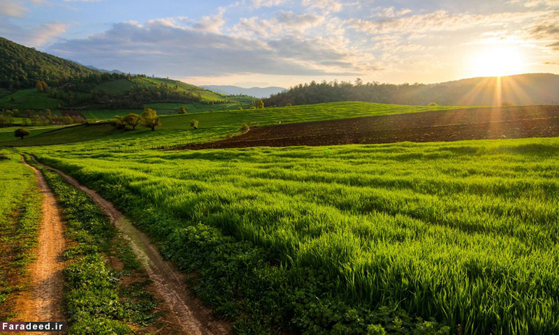 (تصاویر) جاذبه های ایران از نگاه گاردین (تصاویر) جاذبه های ایران از نگاه گاردین