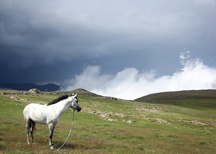 تصویر تصویر
