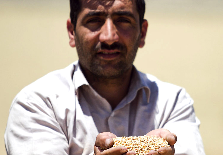 تصویر تصویر