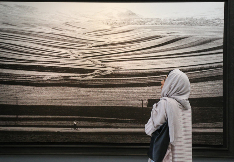 تصویر تصویر