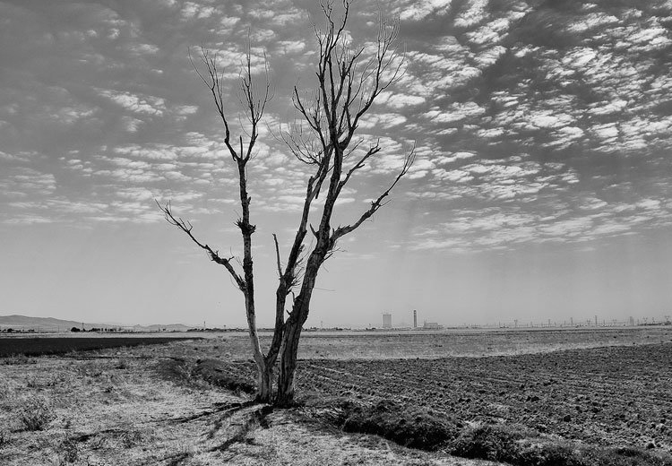 تصویر تصویر