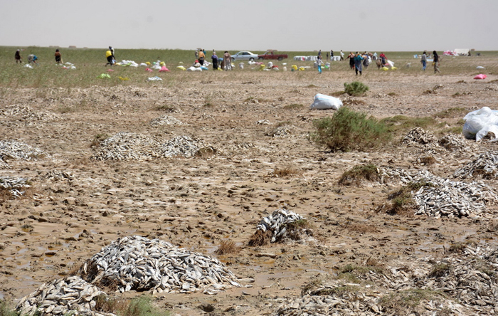 (تصاویر) (تصاویر)
