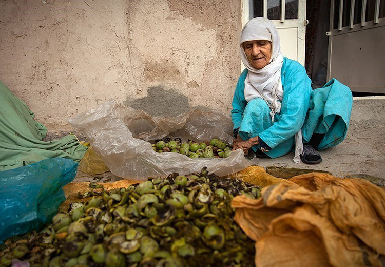 تصویر تصویر